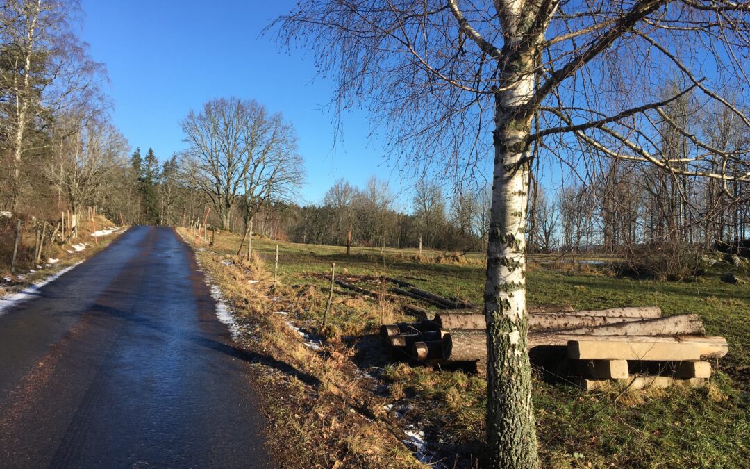 Årsmöte 2024 den 21 mars i Allianskyrkan, Ölmstad
