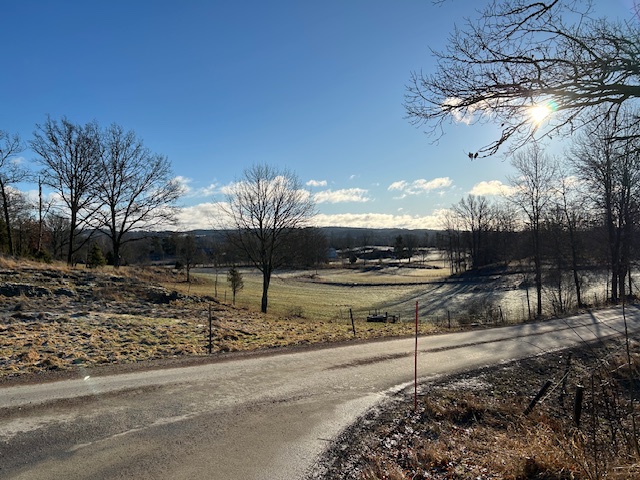 Årsmöte måndag 10 mars 2025